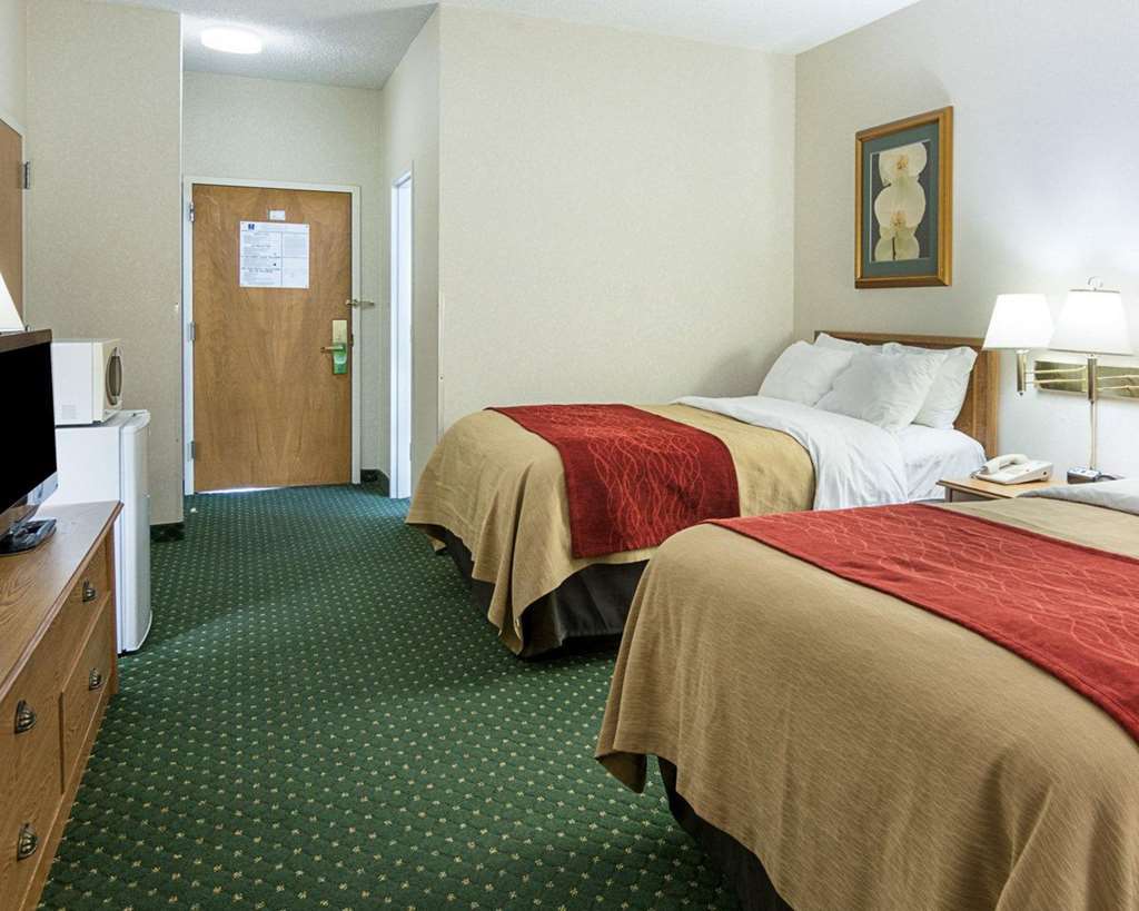 Comfort Inn Chester - Richmond South Rum bild